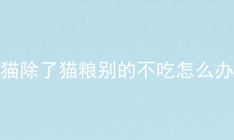 猫除了猫粮别的不吃怎么办