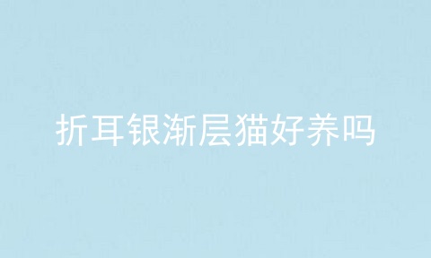 折耳银渐层猫好养吗