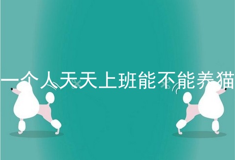一个人天天上班能不能养猫