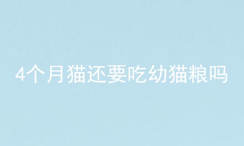 4个月猫还要吃幼猫粮吗