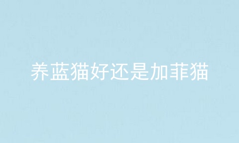 养蓝猫好还是加菲猫
