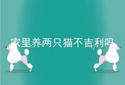家里养两只猫不吉利吗