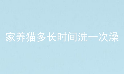 家养猫多长时间洗一次澡
