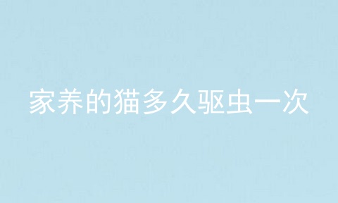 家养的猫多久驱虫一次