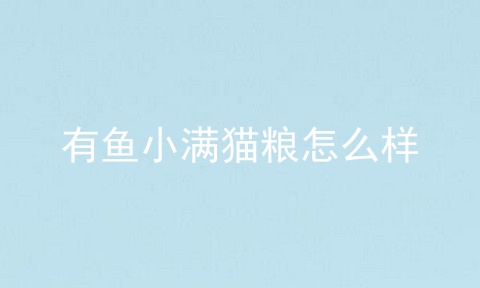 有鱼小满猫粮怎么样