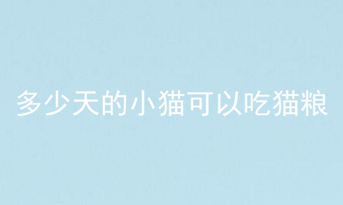 多少天的小猫可以吃猫粮