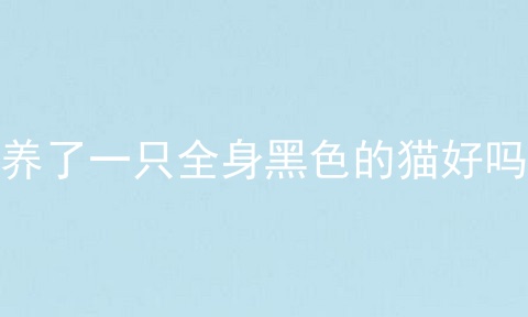 养了一只全身黑色的猫好吗