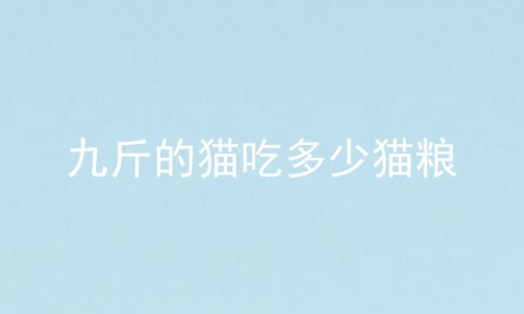 九斤的猫吃多少猫粮