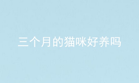 三个月的猫咪好养吗