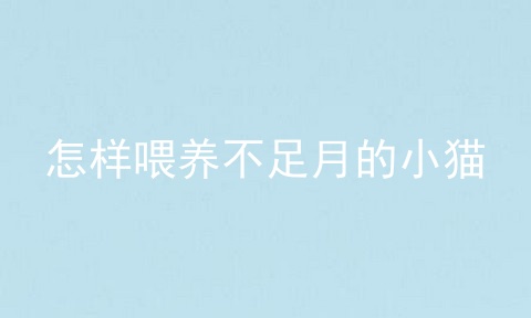 怎样喂养不足月的小猫