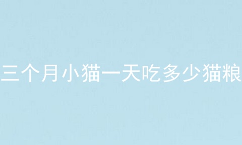 三个月小猫一天吃多少猫粮