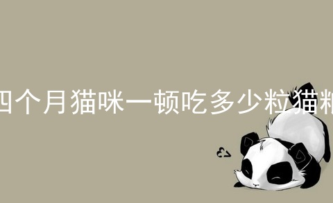 四个月猫咪一顿吃多少粒猫粮