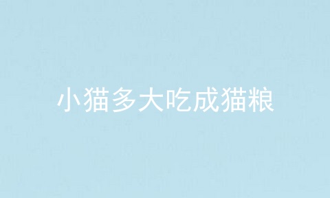 小猫多大吃成猫粮