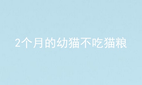 2个月的幼猫不吃猫粮