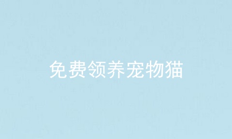 免费领养宠物猫