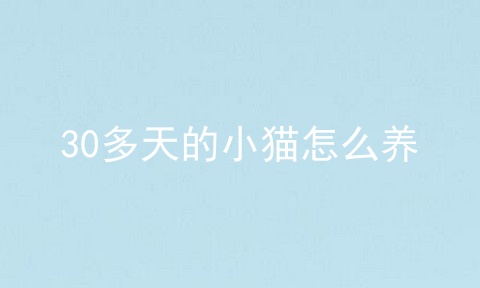 30多天的小猫怎么养