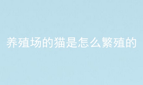 养殖场的猫是怎么繁殖的