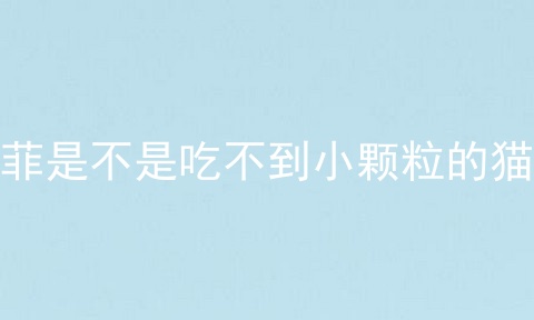 加菲是不是吃不到小颗粒的猫粮