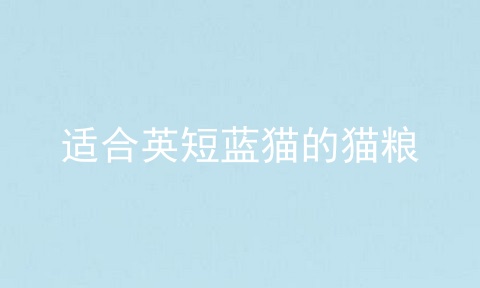 适合英短蓝猫的猫粮