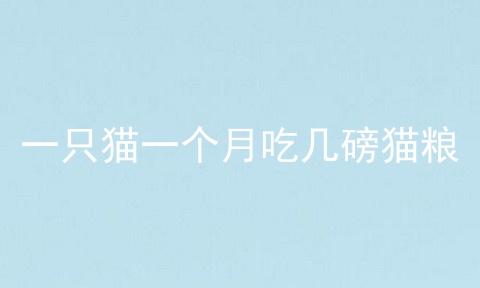 一只猫一个月吃几磅猫粮