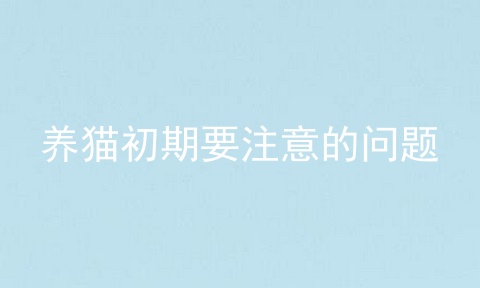 养猫初期要注意的问题
