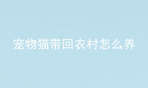 宠物猫带回农村怎么养