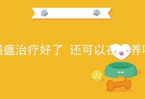 猫瘟治疗好了 还可以在家养吗