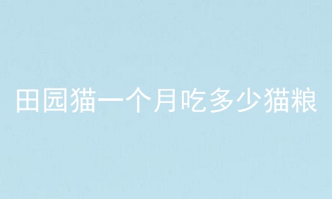 田园猫一个月吃多少猫粮