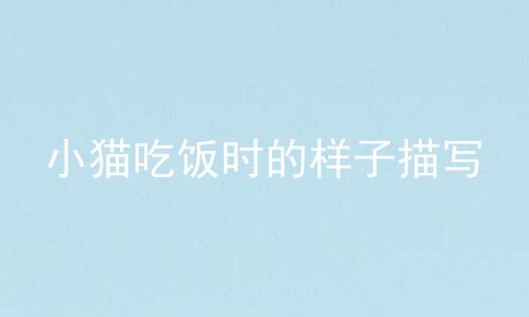 小猫吃饭时的样子描写