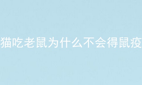 猫吃老鼠为什么不会得鼠疫