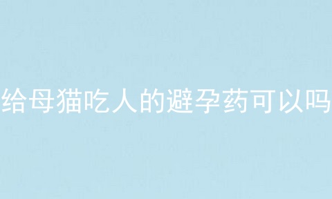 给母猫吃人的避孕药可以吗