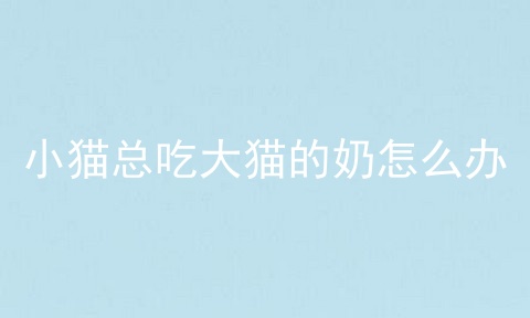 小猫总吃大猫的奶怎么办