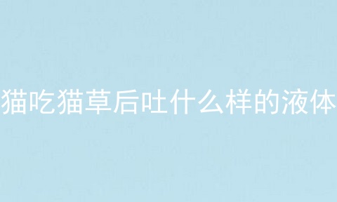猫吃猫草后吐什么样的液体