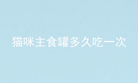猫咪主食罐多久吃一次