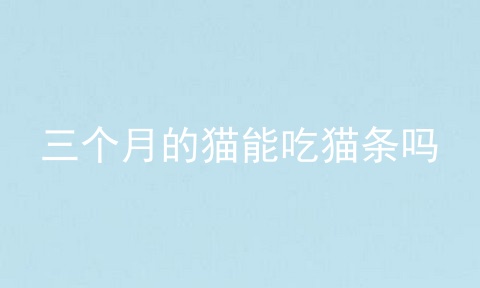 三个月的猫能吃猫条吗