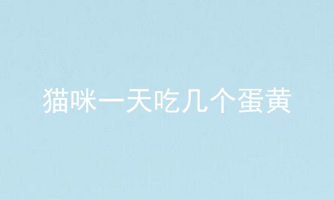 猫咪一天吃几个蛋黄