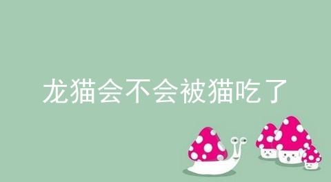 龙猫会不会被猫吃了