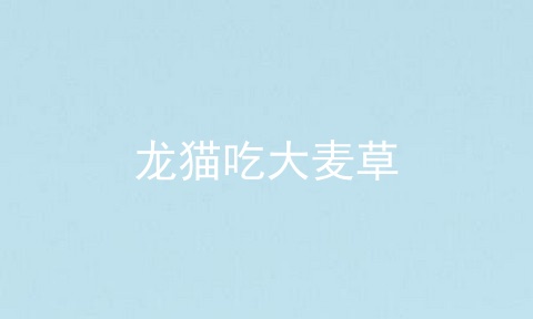 龙猫吃大麦草