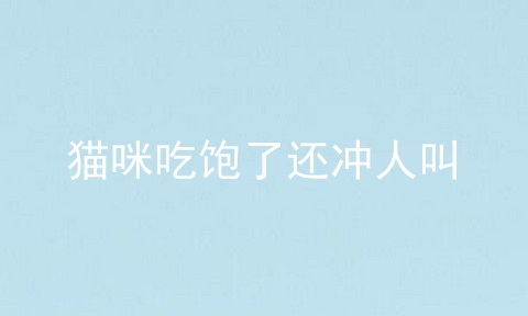 猫咪吃饱了还冲人叫