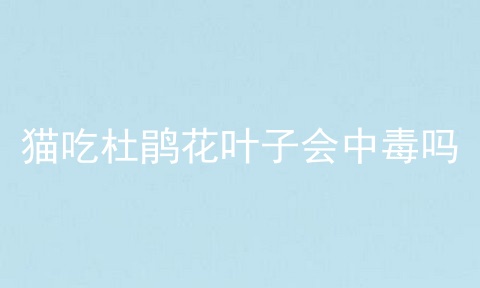 猫吃杜鹃花叶子会中毒吗