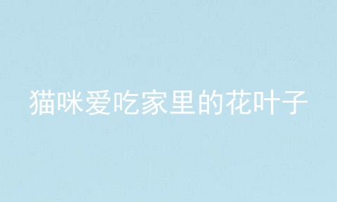 猫咪爱吃家里的花叶子