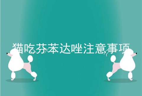 猫吃芬苯达唑注意事项