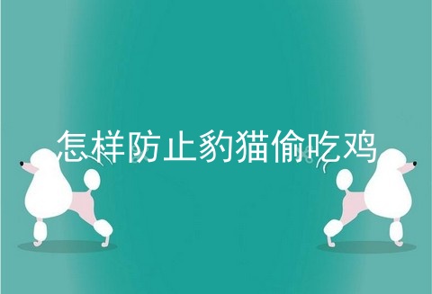 怎样防止豹猫偷吃鸡