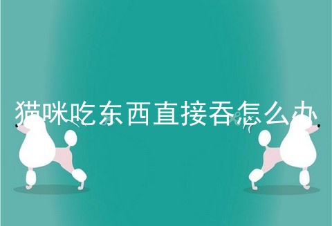 猫咪吃东西直接吞怎么办