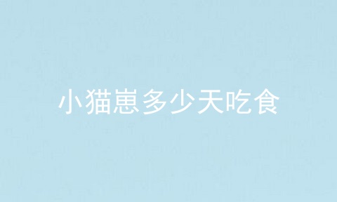 小猫崽多少天吃食