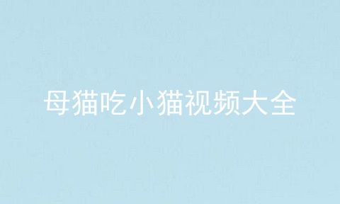 母猫吃小猫视频大全