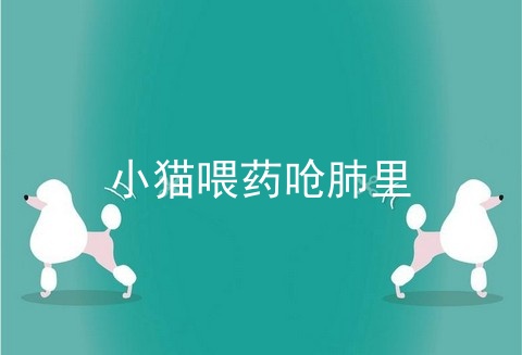 小猫喂药呛肺里