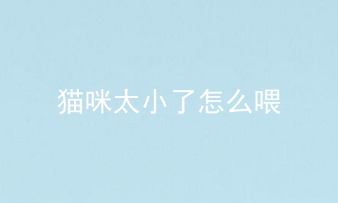 猫咪太小了怎么喂