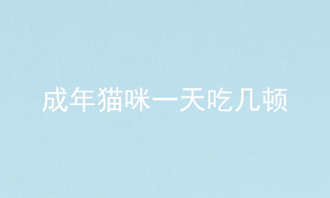 成年猫咪一天吃几顿