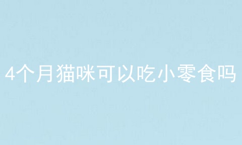 4个月猫咪可以吃小零食吗
